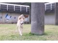 推進棟　たいぞう