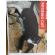 12/7＿No.339　雑種(読谷村)