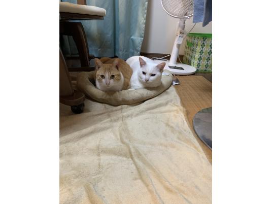 枚目写真