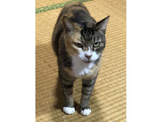 枚目写真