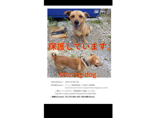 枚目写真