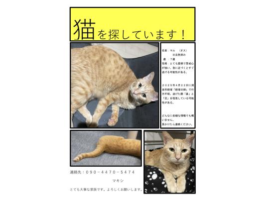 枚目写真