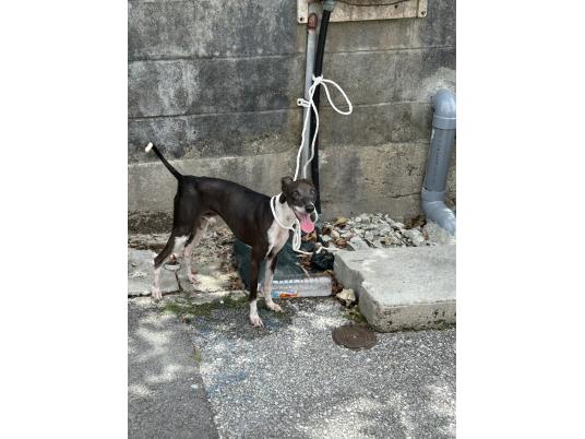 枚目写真