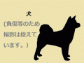 7/8 シェパード(東村) H-1