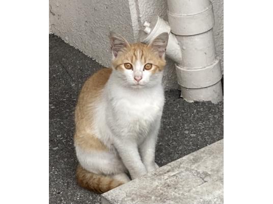 枚目写真