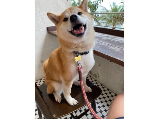 枚目写真