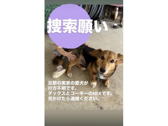 枚目写真