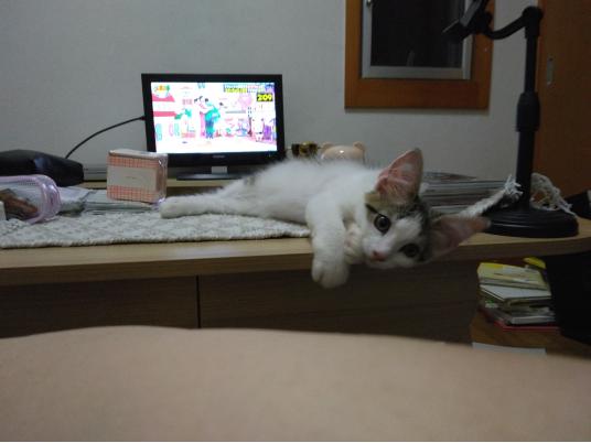 枚目写真