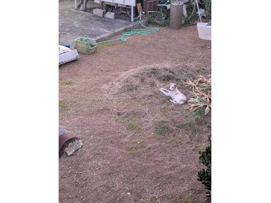 枚目写真