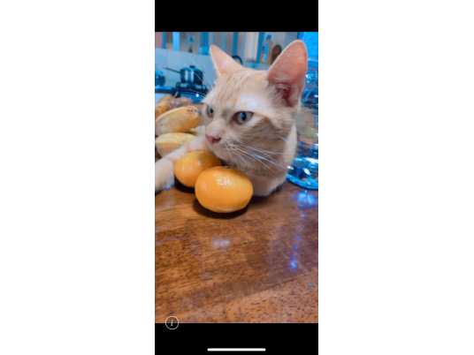 枚目写真