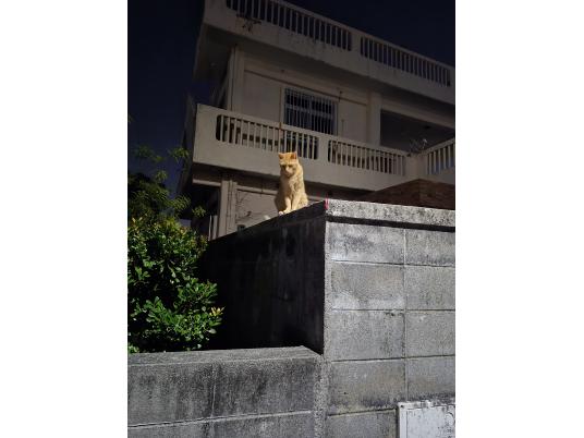 枚目写真