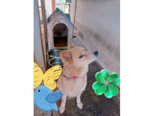 枚目写真