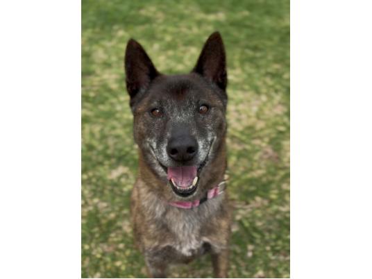 推進棟　とらじ