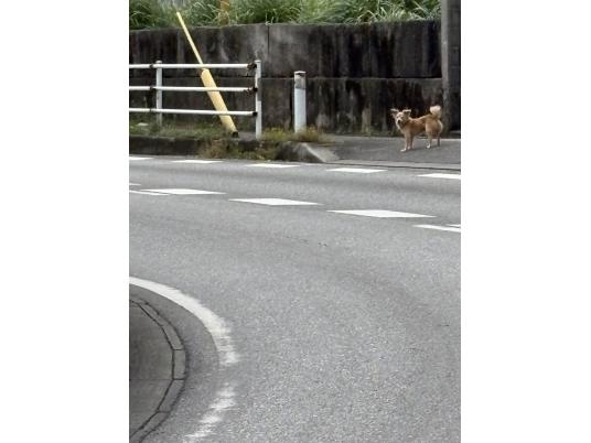 枚目写真