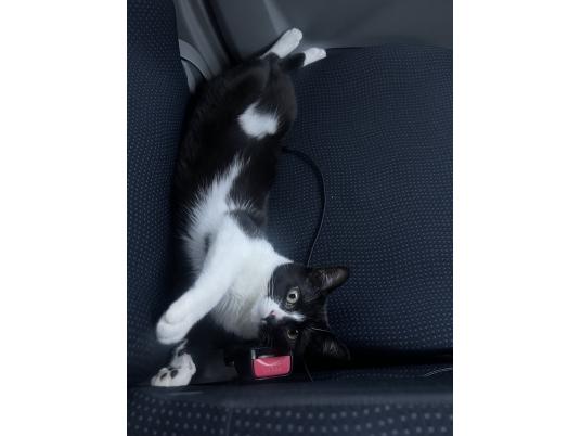 2枚目写真