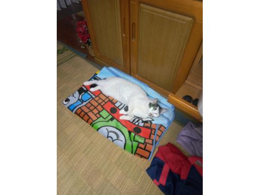 2枚目写真