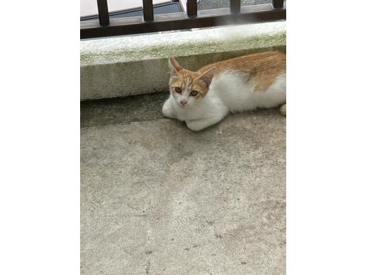 2枚目写真