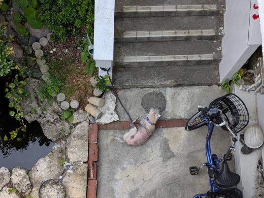 2枚目写真