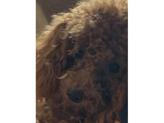 2枚目写真
