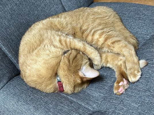 2枚目写真