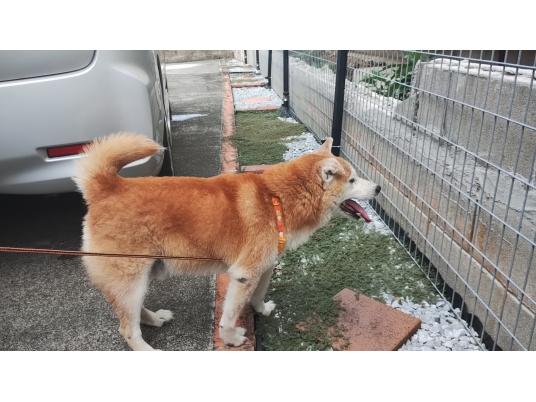 2枚目写真