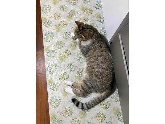 2枚目写真
