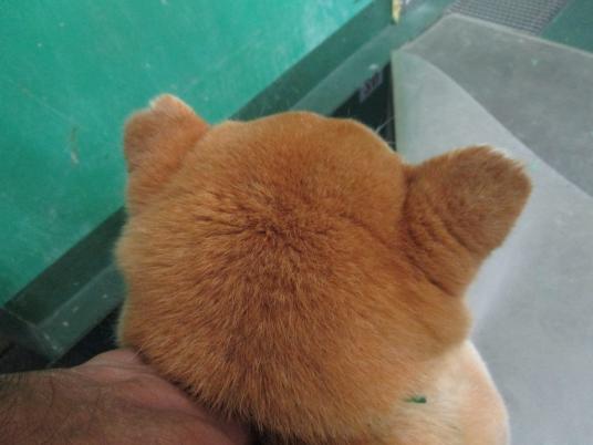 2枚目写真