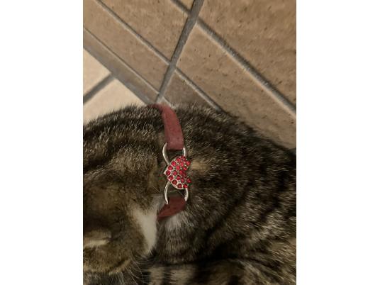 2枚目写真