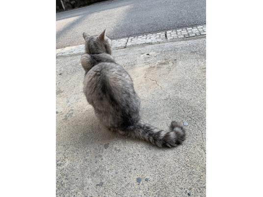 2枚目写真