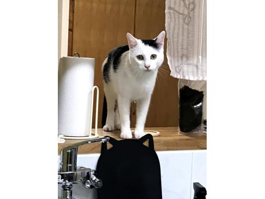 3枚目写真