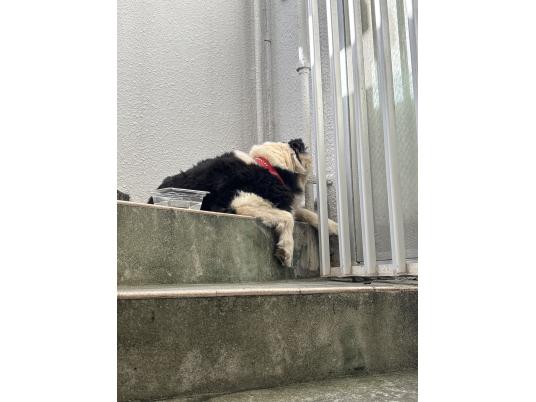 3枚目写真