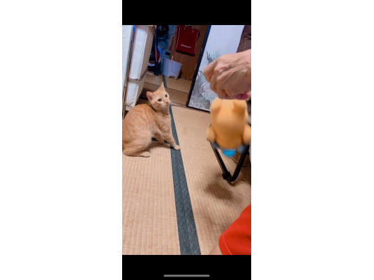 3枚目写真