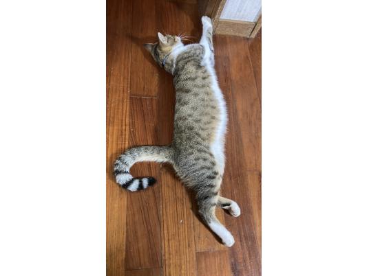 3枚目写真