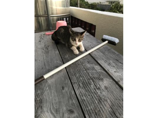 3枚目写真