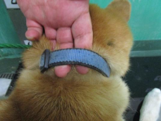 3枚目写真