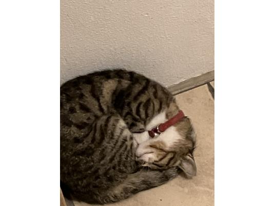 3枚目写真