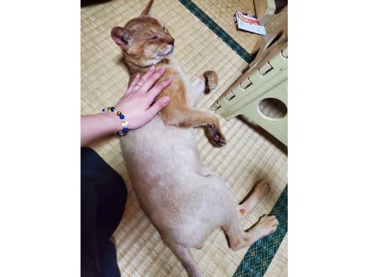 3枚目写真
