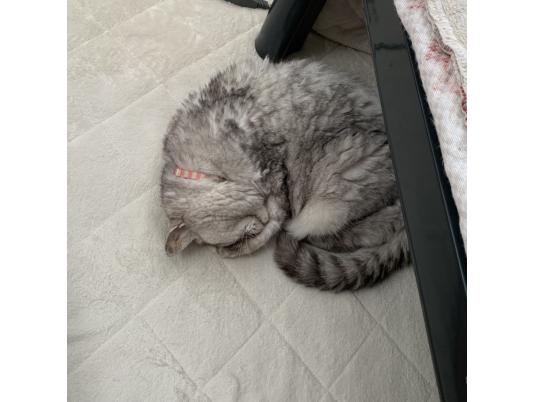 3枚目写真
