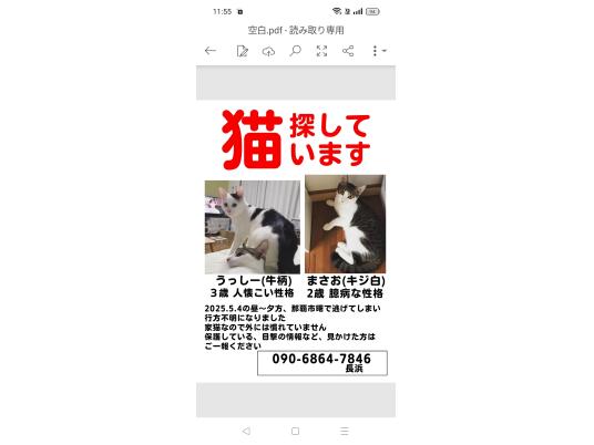 4枚目写真