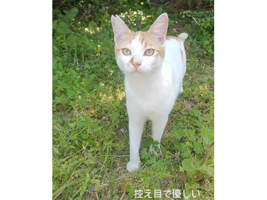 4枚目写真