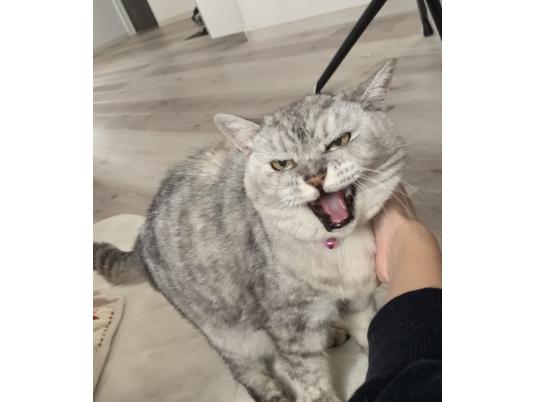 4枚目写真