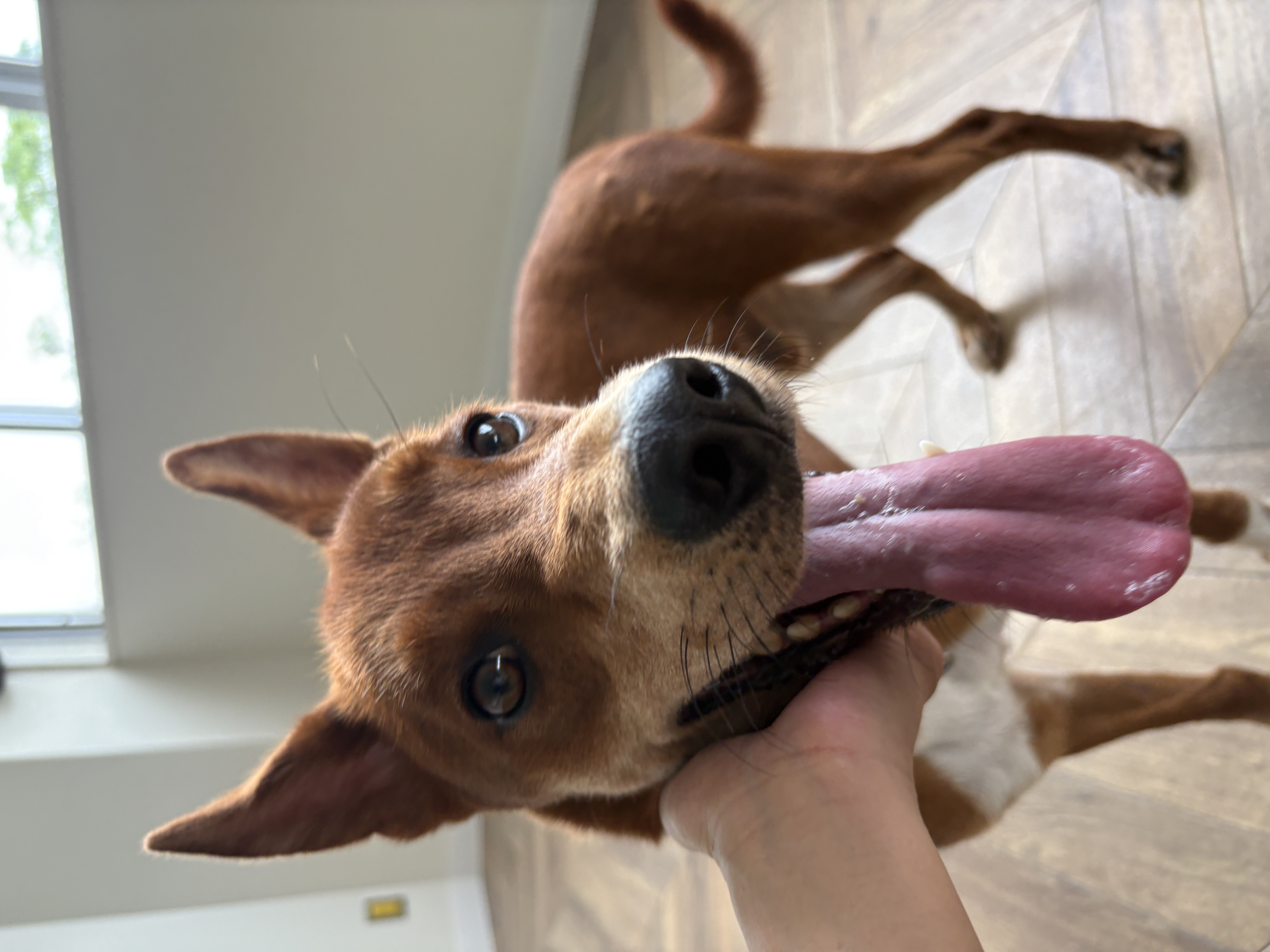 4枚目写真
