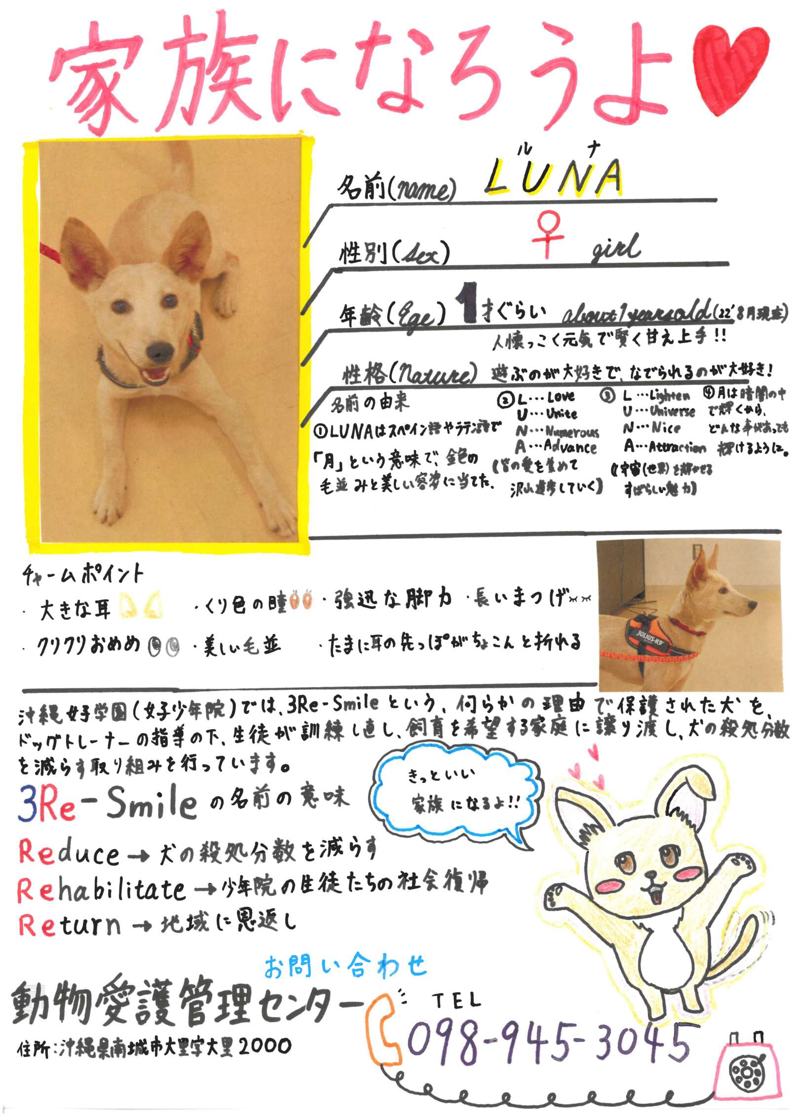令和4年度成犬譲渡促進プログラム 沖縄県動物愛護管理センター