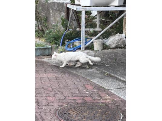 枚目写真