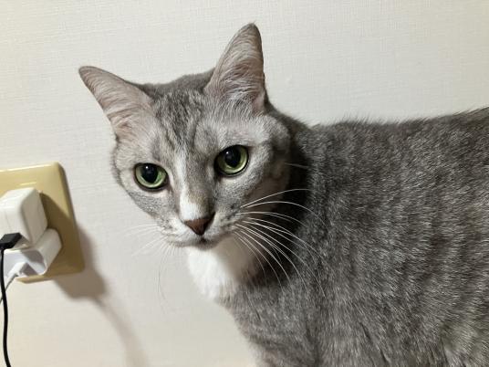 枚目写真