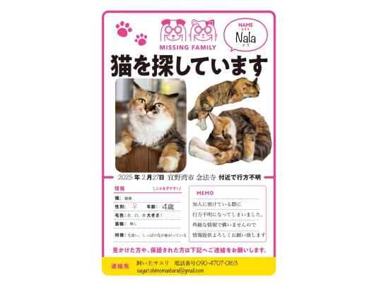 枚目写真