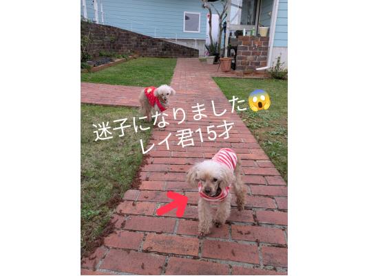 枚目写真