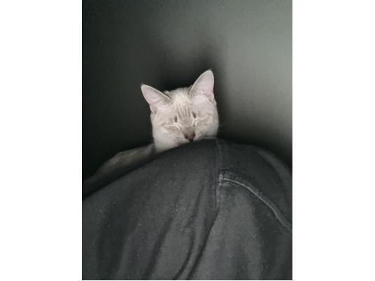 枚目写真
