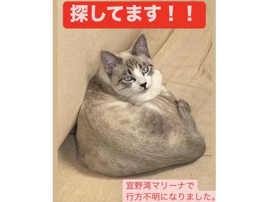枚目写真