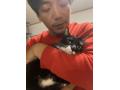 3/27＿No.493　雑種(那覇市)